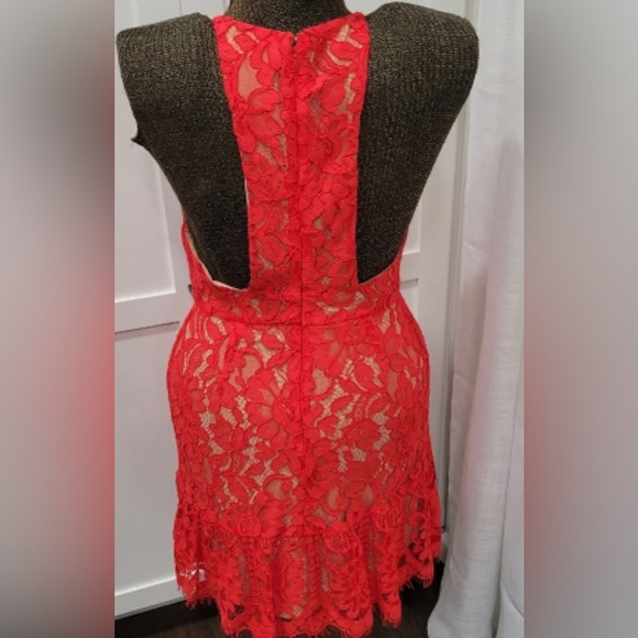 Wayf Cherry red 3D lace embroidered ruffle sleeveless dress v-neck lined Small S - Picture 8 of 8